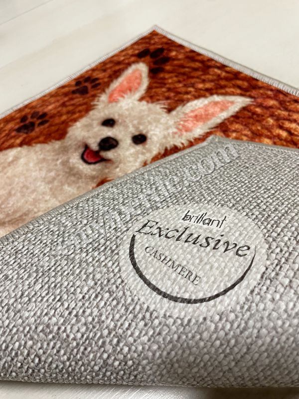 (kahverengi) Jüt Görünümlü Sevimli Köpek Temalı Kapıönü Paspası (60x40) Fiyatları, Özellikleri ve Yorumları - 2