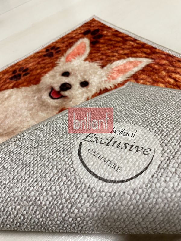 (kahverengi) Jüt Görünümlü Sevimli Köpek Temalı Kapıönü Paspası (60x40) - 2